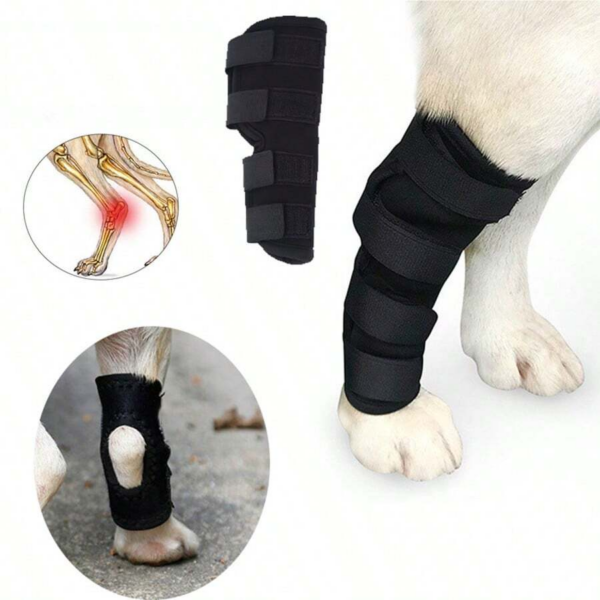 1005006853457128_0 Sleeve Dog Leg Brace For Pet Knee Sprains Recovery Protection