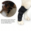1005006853457128_2 Sleeve Dog Leg Brace For Pet Knee Sprains Recovery Protection