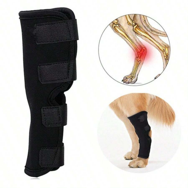 1005006853457128_3 Sleeve Dog Leg Brace For Pet Knee Sprains Recovery Protection