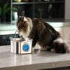 Smart Dog Water Dispenser With Visual Window
