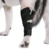 1005007124013987_2 Pet Knee Pads Support Brace Hock Joint Wrap Injury Recovery Dogs