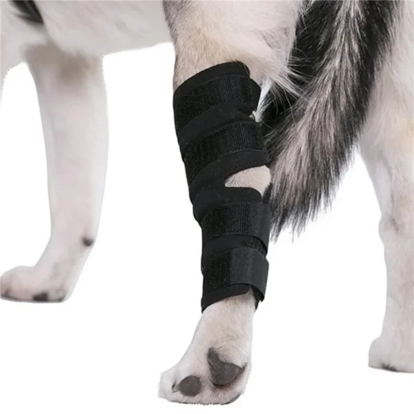 1005007124013987_2 Pet Knee Pads Support Brace Hock Joint Wrap Injury Recovery Dogs