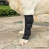 1005007124013987_3 Pet Knee Pads Support Brace Hock Joint Wrap Injury Recovery Dogs