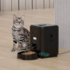 Smart Automatic Cat Food Dispenser With Timed Portions