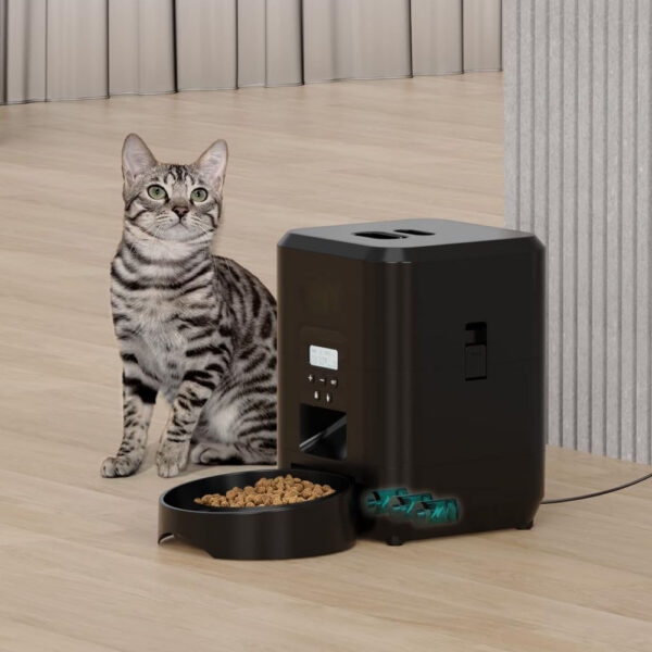 Smart Automatic Cat Food Dispenser With Timed Portions