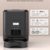 Smart Automatic Cat Food Dispenser With Timed Portions