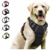 1005007345354130_0 Clip Reflective Comfortable Handle For Medium To Large Dogs Walking Free Shipping