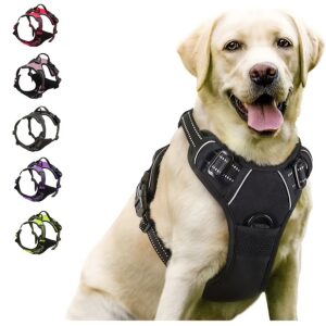 1005007345354130_0 Clip Reflective Comfortable Handle For Medium To Large Dogs Walking Free Shipping