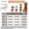 1005007345354130_1 Clip Reflective Comfortable Handle For Medium To Large Dogs Walking Free Shipping