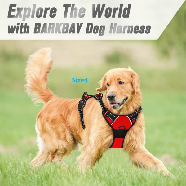 1005007345354130_3 Clip Reflective Comfortable Handle For Medium To Large Dogs Walking Free Shipping