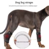 1005007378075473_0 Dogs Hock Joint Brace Pet Knee Pads Dogs Injury Recovery