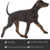 1005007378075473_1 Dogs Hock Joint Brace Pet Knee Pads Dogs Injury Recovery