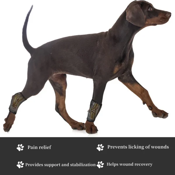 1005007378075473_1 Dogs Hock Joint Brace Pet Knee Pads Dogs Injury Recovery