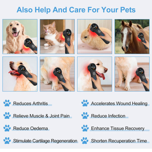 1005008226609613_3 Device For Human/Pets Pain Relief Shoulder Joint 660Nm 810Nm 980Nm