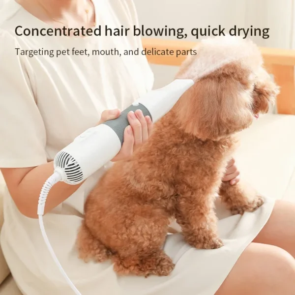 1005008787729908_1 Brush Grooming Kitten Cat Hair Comb Puppy Fur Blower Low Noise Temprature