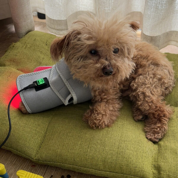 Infrared Red Light Therapy Belt Wrap For Dogs Cats