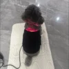 Cold Laser Therapy Device For Dogs Infrared Light Therapy For Pets Red Light Belt