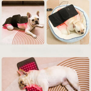 Pet Led Therapy Light - Physiotherapy For Dog Pain Relief