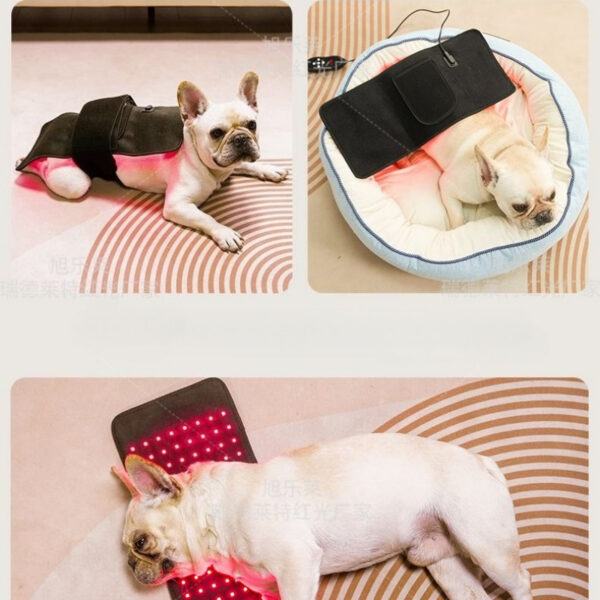 Pet Led Therapy Light - Physiotherapy For Dog Pain Relief