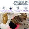Pet Led Therapy Light - Physiotherapy For Dog Pain Relief