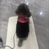 Red Light Therapy Wrap Belt For Dog Back 660Nm 850Nm