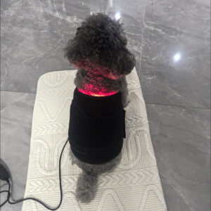 Red Light Therapy Wrap Belt For Dog Back 660Nm 850Nm