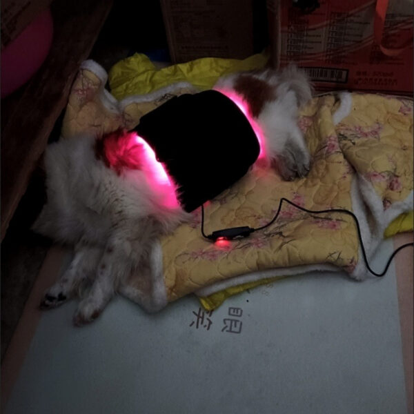Red Light Therapy Wrap Belt For Dog Back 660Nm 850Nm