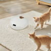 Smart Pet Feeder With Wet Food Recorder Multi-Function