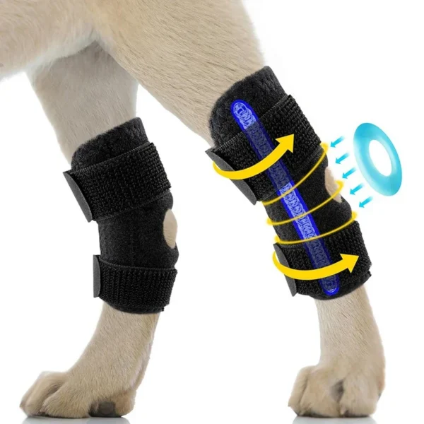 1005009427390128_0 Brace For Leg Hock Joint Wrap Injury Recover Dogs Supplies
