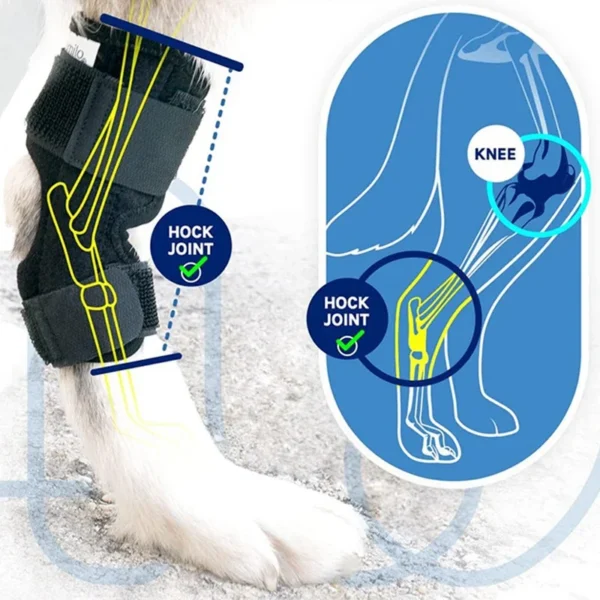 1005009427390128_1 Brace For Leg Hock Joint Wrap Injury Recover Dogs Supplies