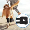 1005009427390128_2 Brace For Leg Hock Joint Wrap Injury Recover Dogs Supplies