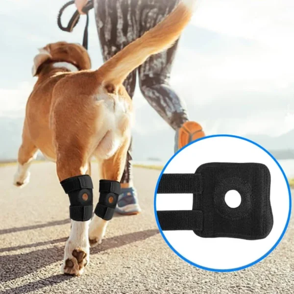 1005009427390128_2 Brace For Leg Hock Joint Wrap Injury Recover Dogs Supplies