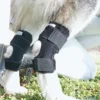 1005009427390128_3 Brace For Leg Hock Joint Wrap Injury Recover Dogs Supplies
