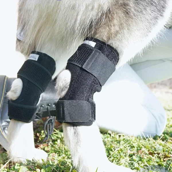 1005009427390128_3 Brace For Leg Hock Joint Wrap Injury Recover Dogs Supplies