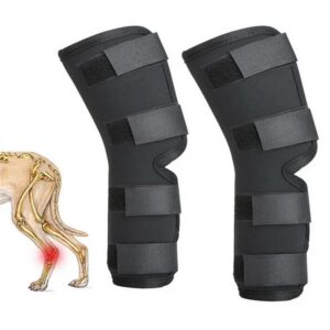 Dog Leg Joint Support Wraps For Injury Recovery And Mobility
