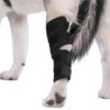 Dog Leg Joint Support Wraps For Injury Recovery And Mobility