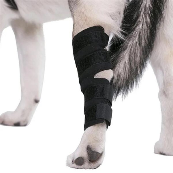 Dog Leg Joint Support Wraps For Injury Recovery And Mobility