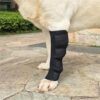 Dog Leg Joint Support Wraps For Injury Recovery And Mobility