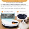 Smart Pet Feeder With Refrigeration And Timer 5 Compartments