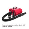 Cat And Dog Large Pets Hair Blowing Dual Motor Low Noise Dryer