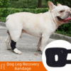 1005010725583155_0 Dogs Hock Joint Brace Pet Knee Pads Dogs Injury Recovery