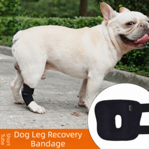1005010725583155_0 Dogs Hock Joint Brace Pet Knee Pads Dogs Injury Recovery