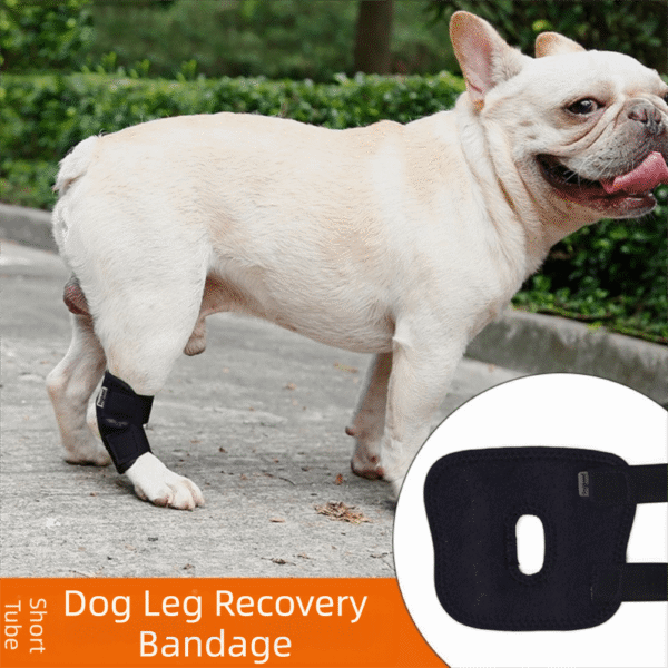 1005010725583155_0 Dogs Hock Joint Brace Pet Knee Pads Dogs Injury Recovery