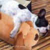 Training Anxiety Relief Lying Dog Fidget Soft Stuffed Animal Puppy Birthday Gift