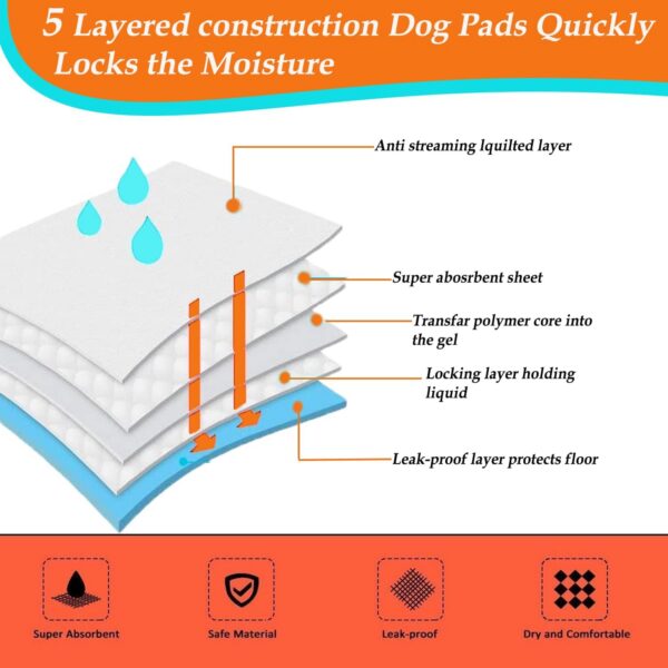 1005010788592863_1 Dogs Potty Training Leak-Proof Quick Dry Design & Floor Protection Free Shipping