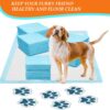 1005010788592863_2 Dogs Potty Training Leak-Proof Quick Dry Design & Floor Protection Free Shipping