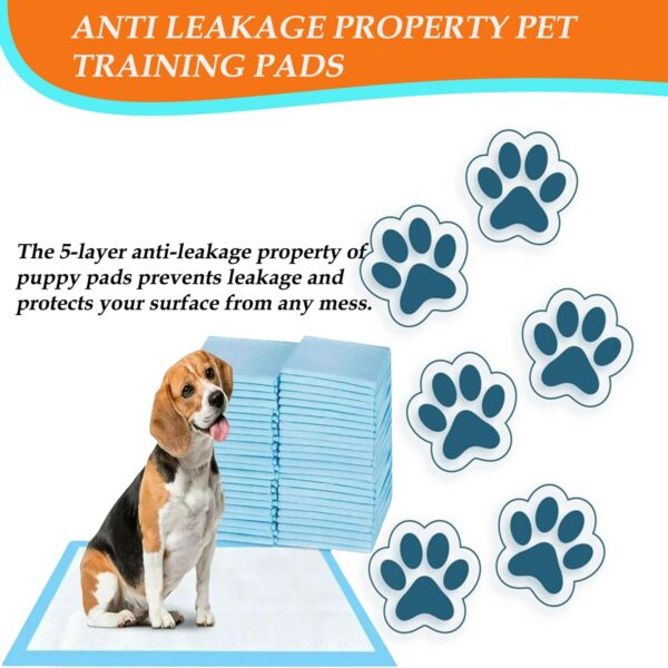 1005010788592863_3 Dogs Potty Training Leak-Proof Quick Dry Design & Floor Protection Free Shipping