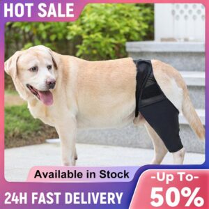 Dog Leg Support Brace Joint Wrap Injury Recovery Protector