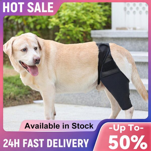 Dog Leg Support Brace Joint Wrap Injury Recovery Protector