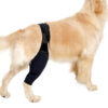 Dog Leg Support Brace Joint Wrap Injury Recovery Protector